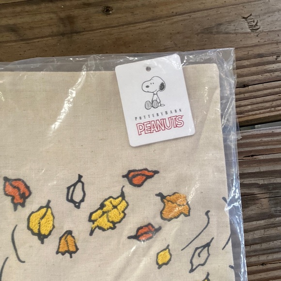 Pottery Barn Accents Pottery Barn Peanuts Sally Charlie Brown Fall